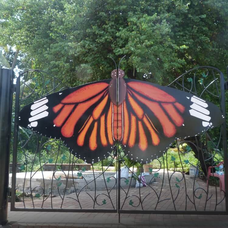 Native Bio-diversity Garden