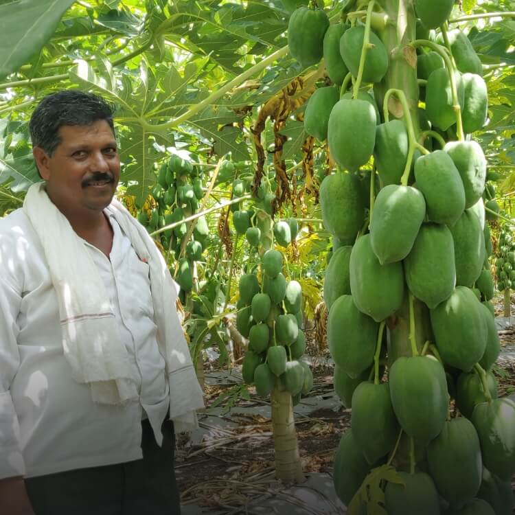 Farmer Livelihood Enhancement
