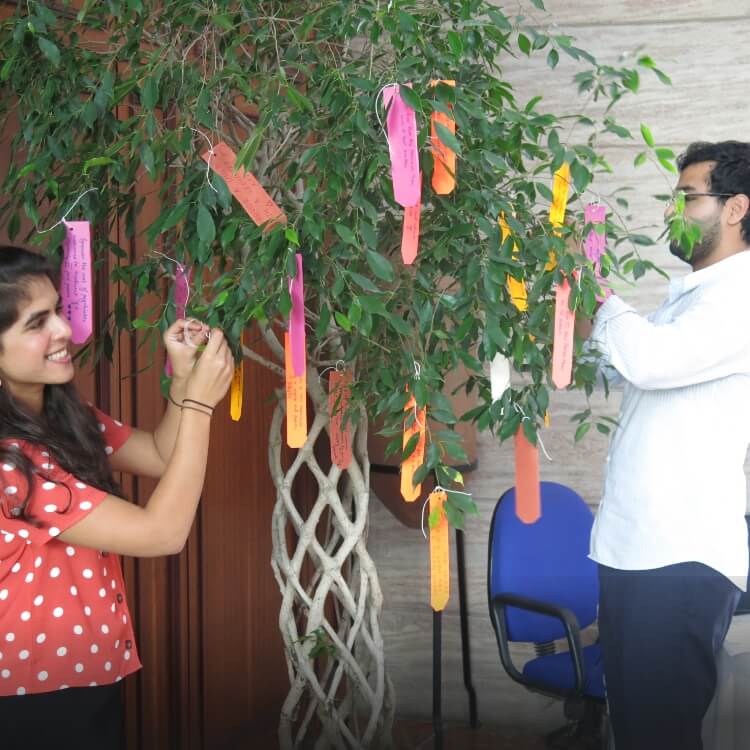 Wishing Tree
